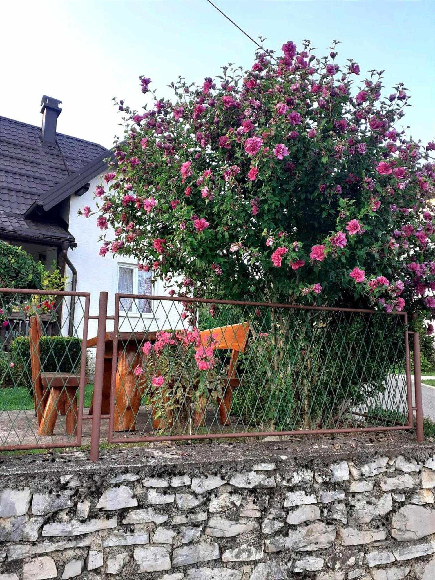 Guesthouse Milka โพลยานัค ภายนอก รูปภาพ